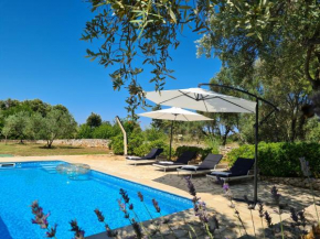 Villa stone house